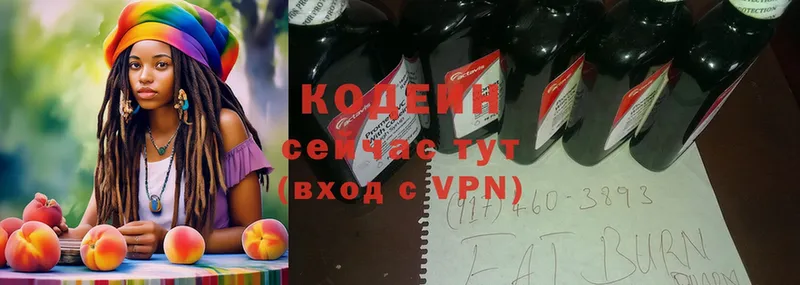 дарнет шоп  Заречный  Кодеин Purple Drank 